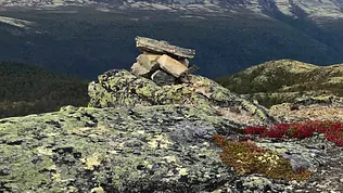 Varde på fjellet
